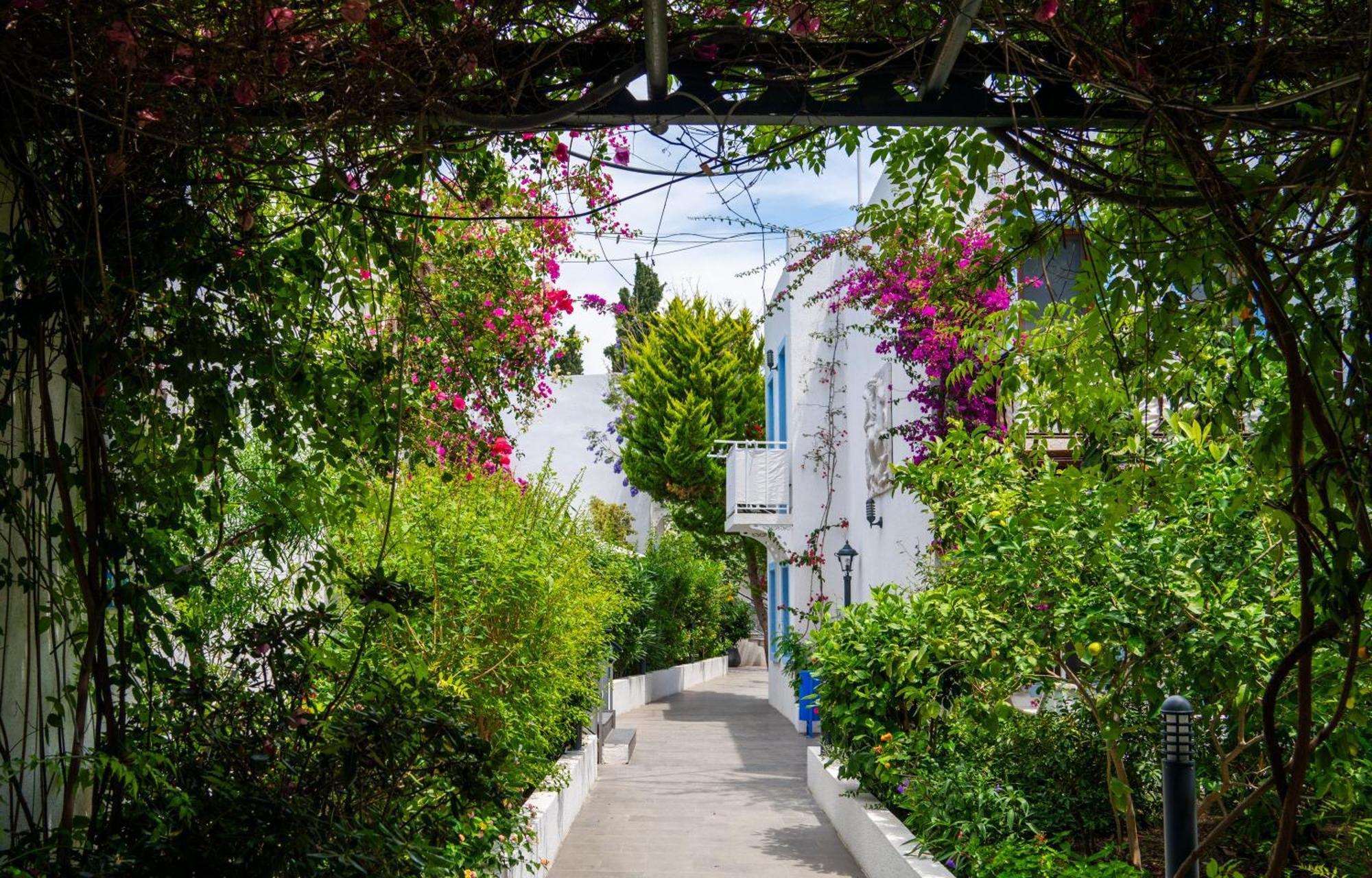 Manuela Hotel Bitez Exterior foto