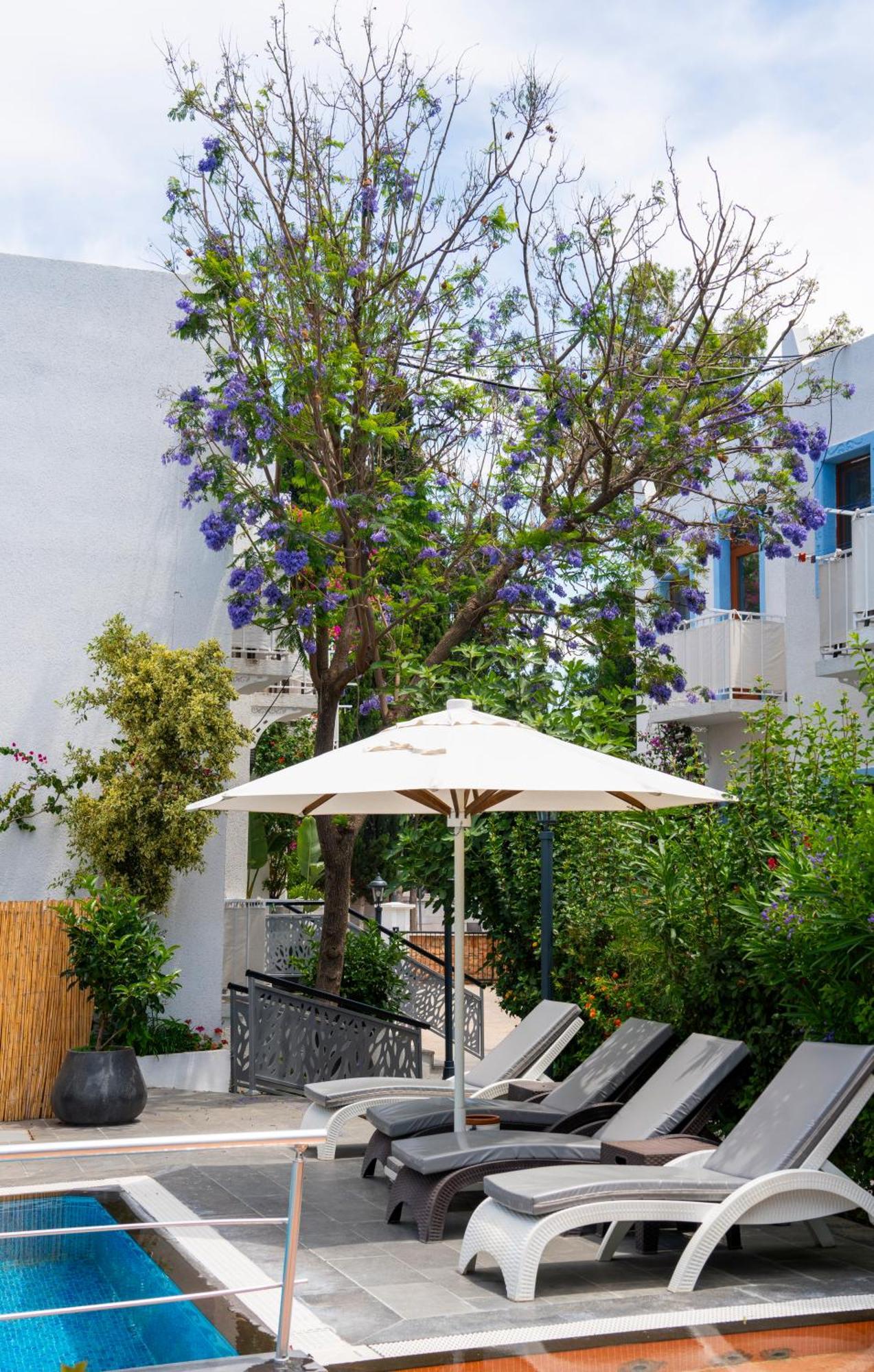 Manuela Hotel Bitez Exterior foto