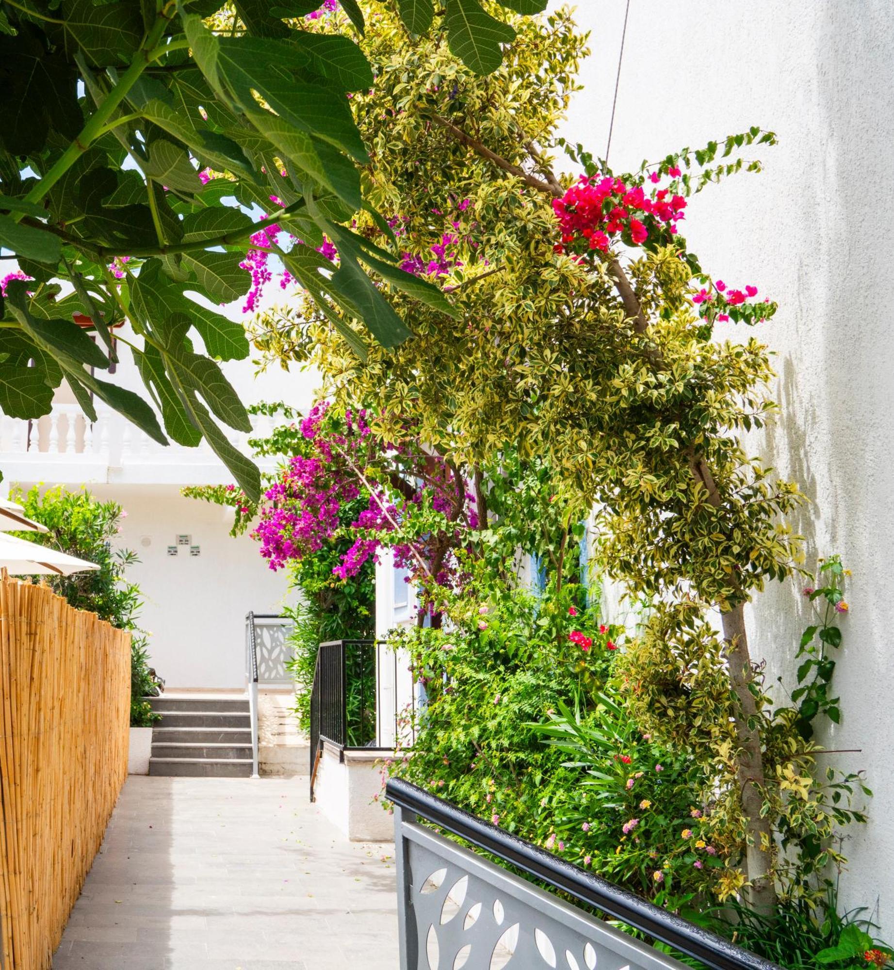 Manuela Hotel Bitez Exterior foto
